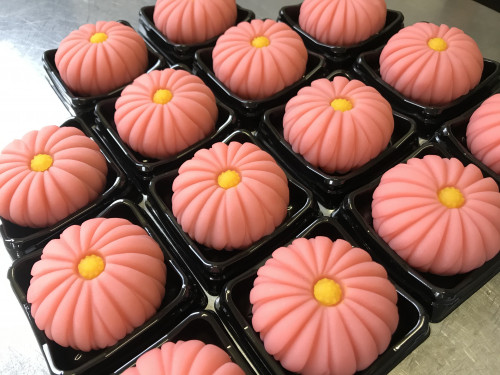 本日の上生菓子「野菊」