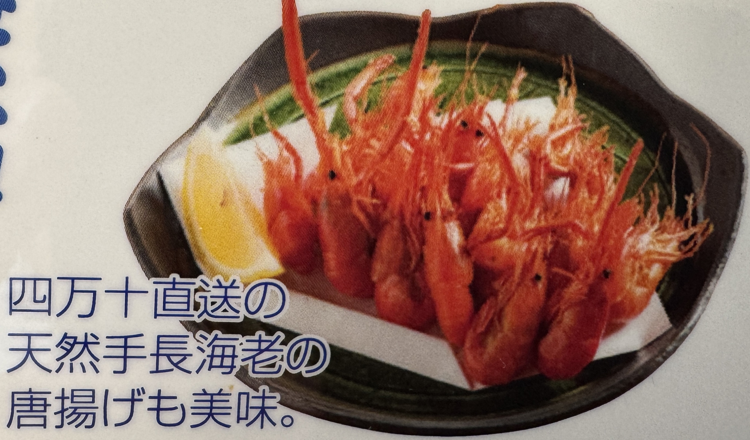 四万十直送手長海老