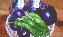 100608220124mbd6_m.jpg