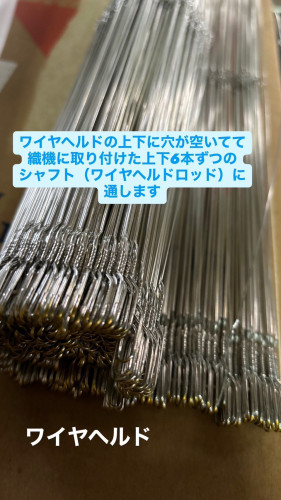 柔術2.jpg
