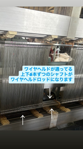 柔術3.jpg