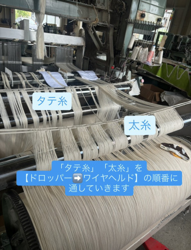 柔術5.jpg