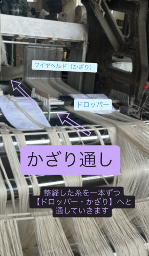 柔術6.jpg