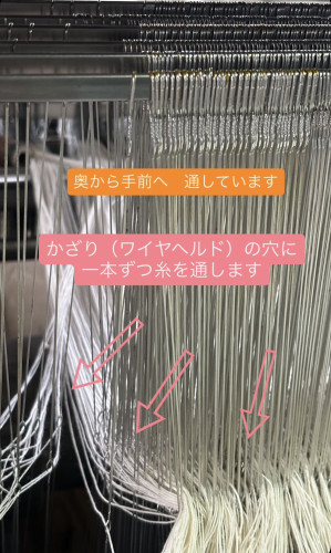 柔術7.jpg