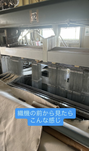 柔術8.jpg