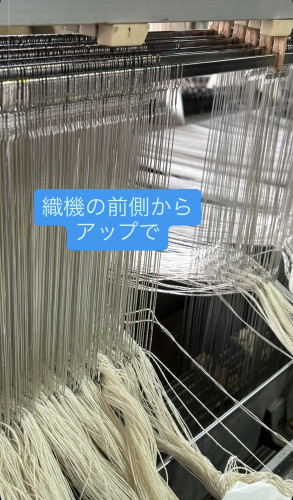 柔術9.jpg
