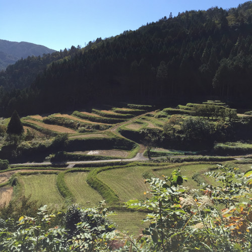20151026_101431.jpg
