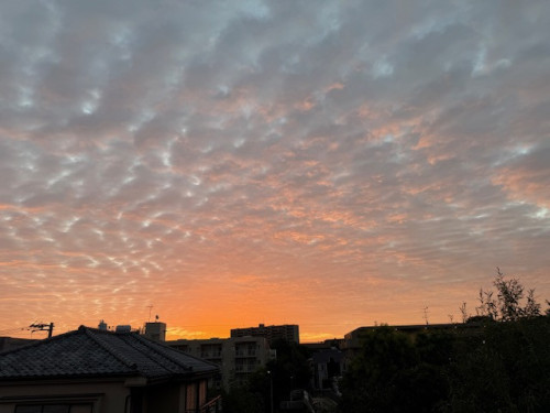 9010AC82-1AE0-4EDF-9A1C-4882A9A2CE52.JPG