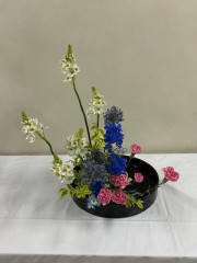 IMG_1270.jpg