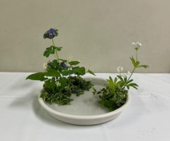 平出先生　参考花２.jpeg