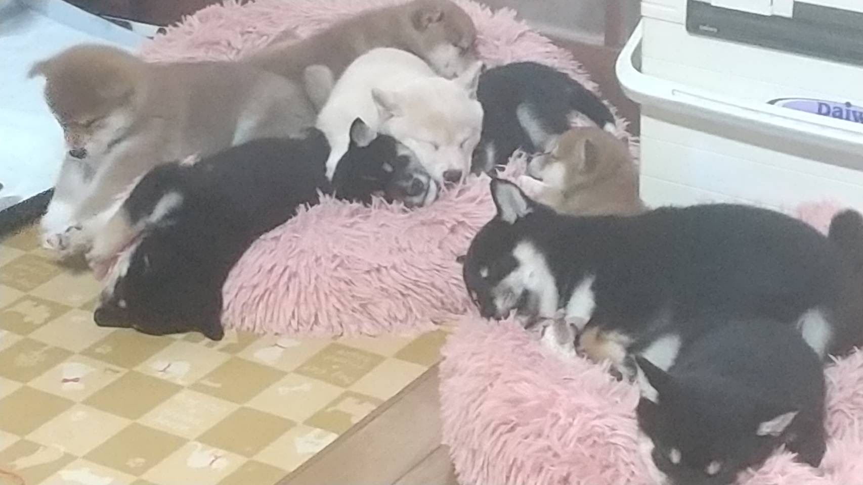 日記更新しました。