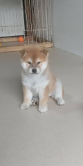 ②12月30日生まれ　女の子