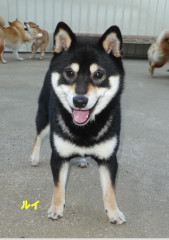 IMG_8961.jpeg