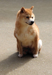 IMG_5916.jpeg