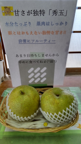 秀玉.JPG