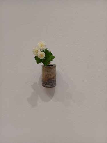 1766035062286.jpg