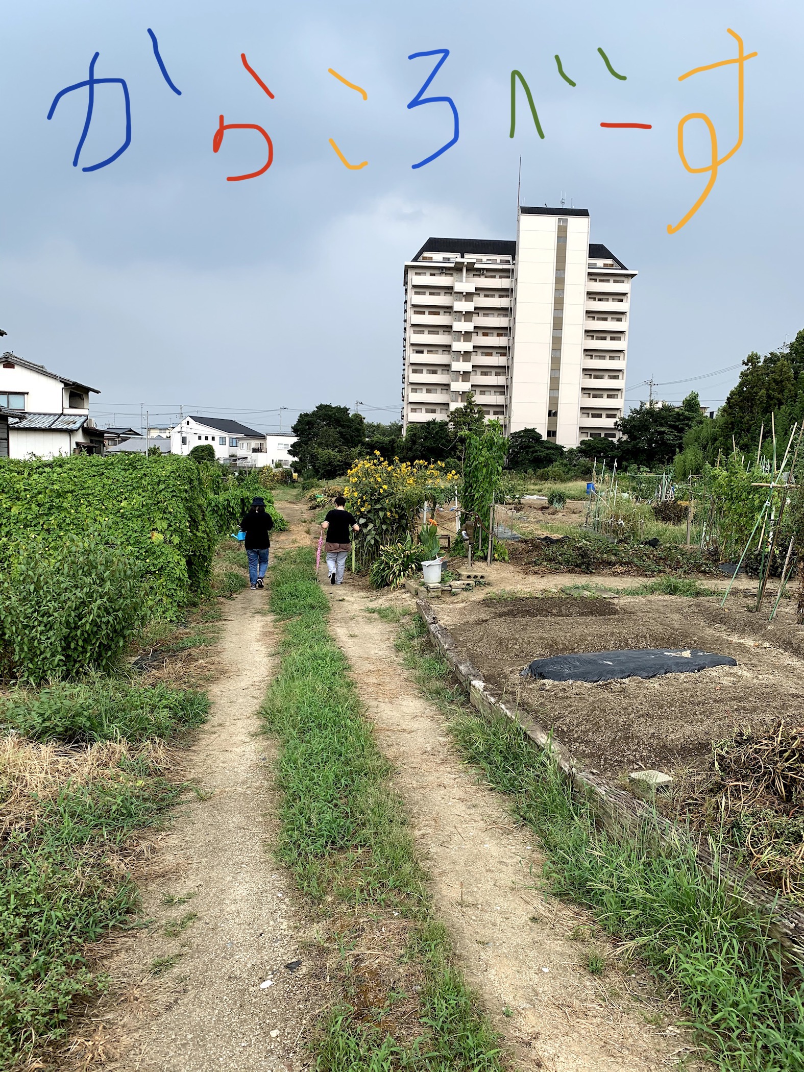 名前が決まりました^_^