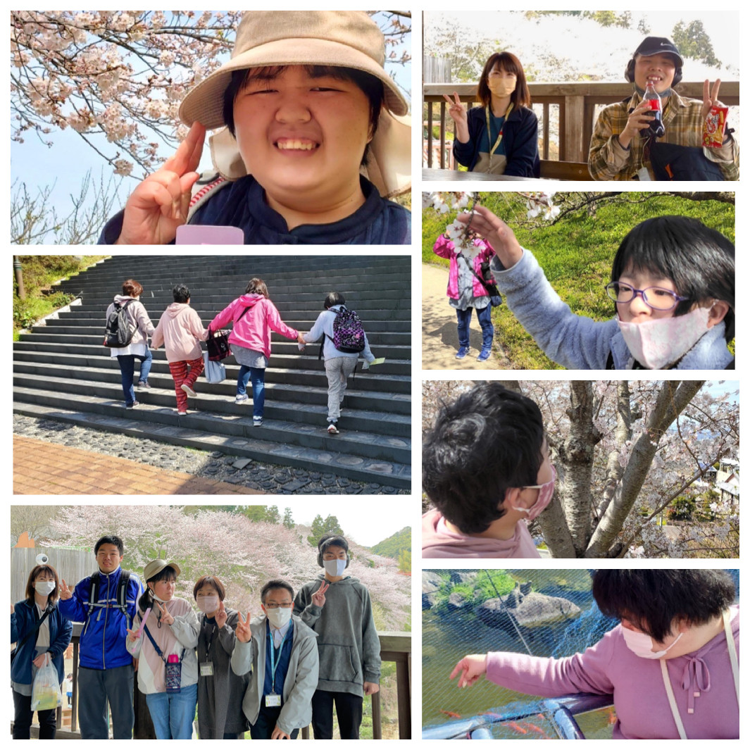 お花見（菊間かわら公園）