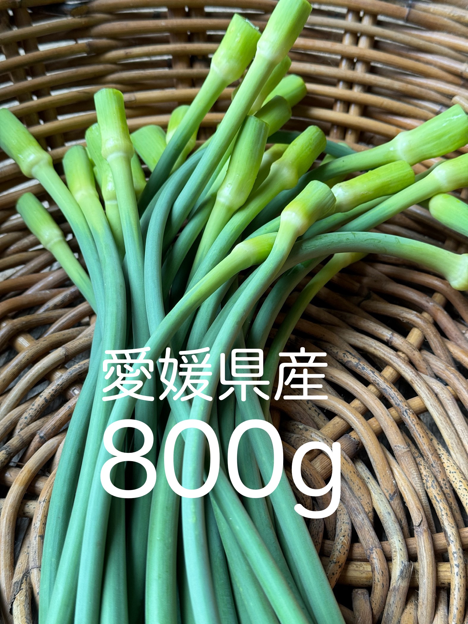 ニンニクの芽販売してます(^-^)