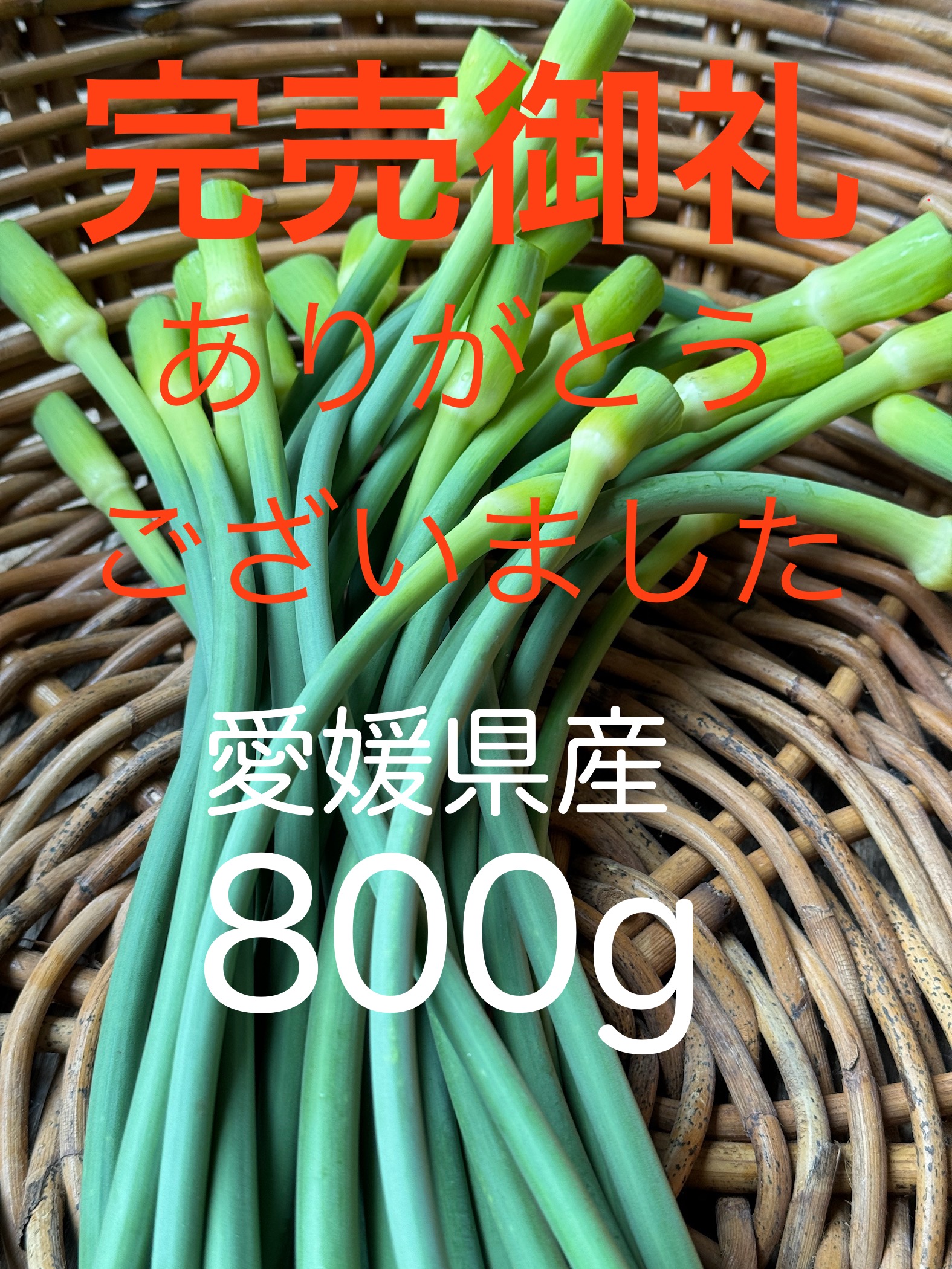 完売御礼