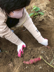 LINE_ALBUM_20251021芋掘り_251026_16.jpg