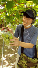 LINE_ALBUM_2025.9ぶどう狩り_251030_13.jpg