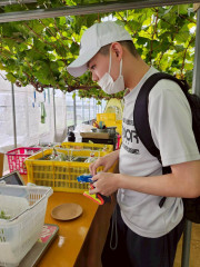 LINE_ALBUM_2025.9ぶどう狩り_251030_35.jpg