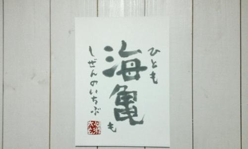 タートルクルーが伝えたいこと　　　　　　　　　　松田　大児　書