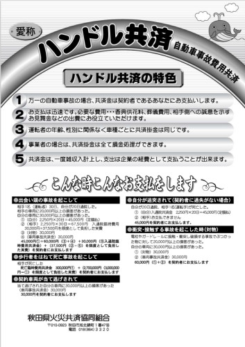 ハンドル共済　チラシ.jpeg