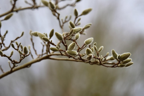 受付中のオンライン講座・期間限定メニュー