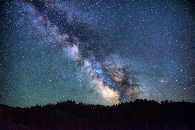 2026年後半の星読み付フラワーエッセンスアストロロジーセッション