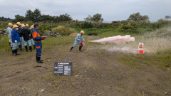 PXL_20250919_234136499.MP.jpg