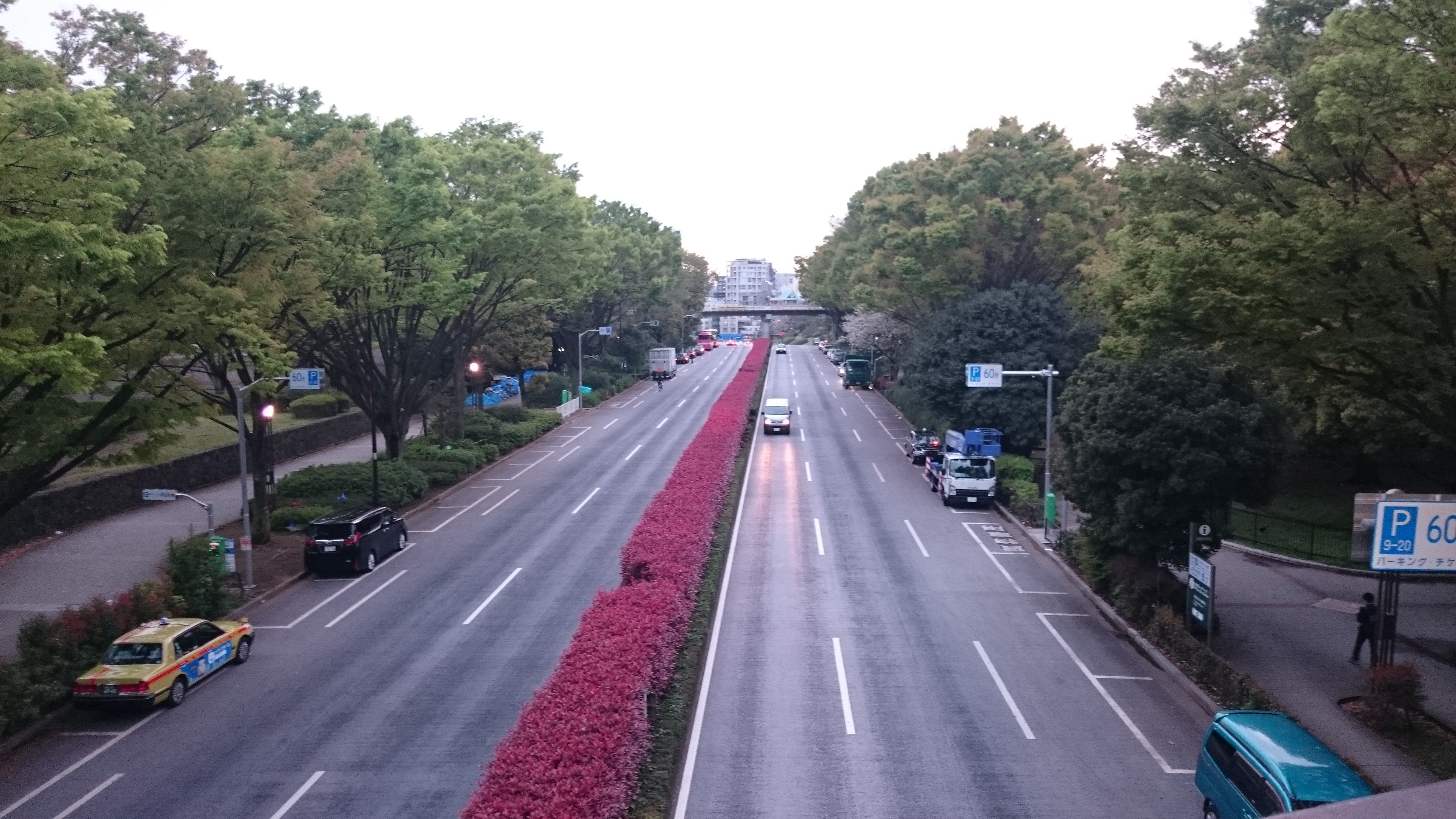 DSC_0015.JPG