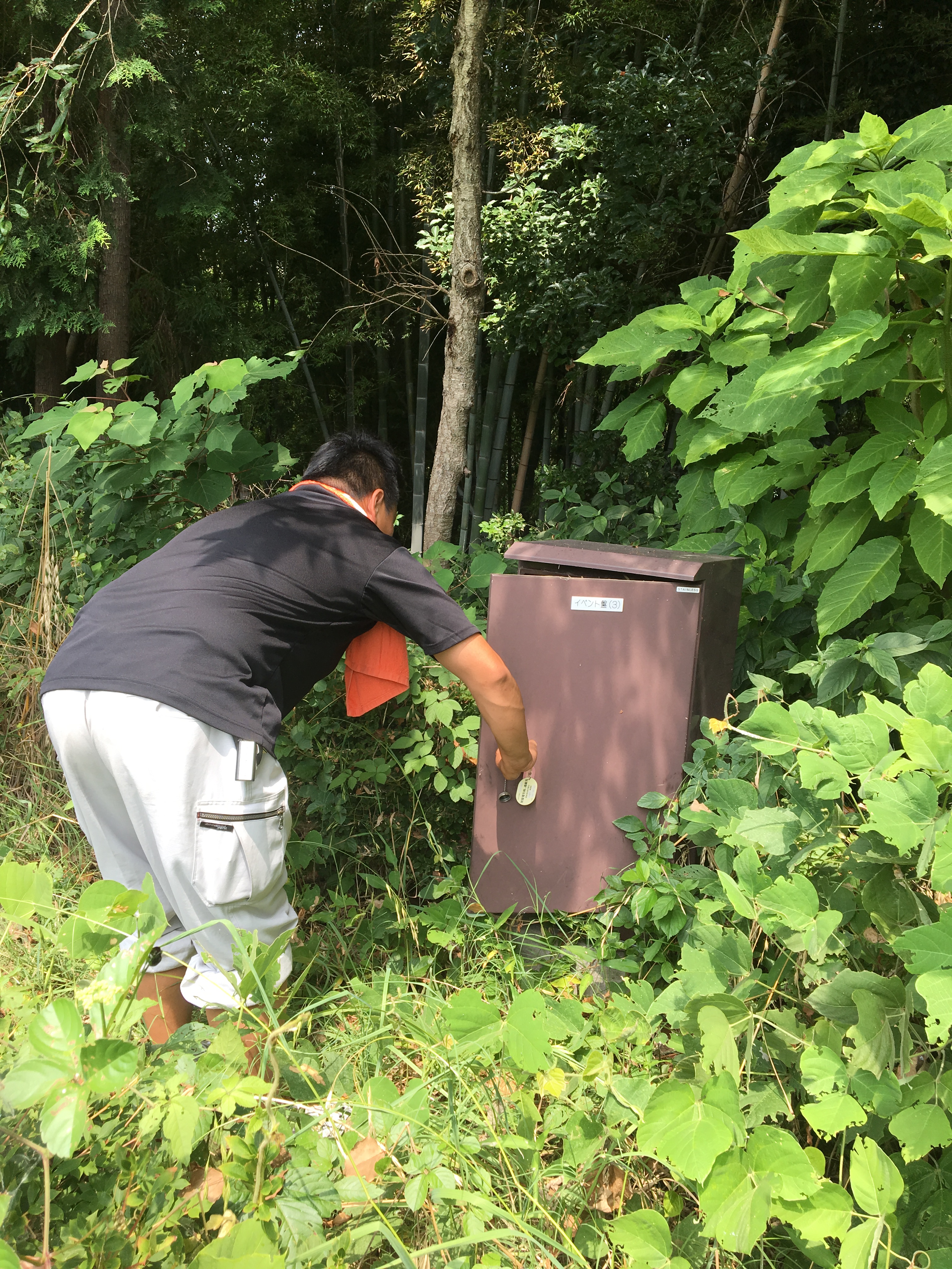 草むらの中の配電盤を確認する部長。