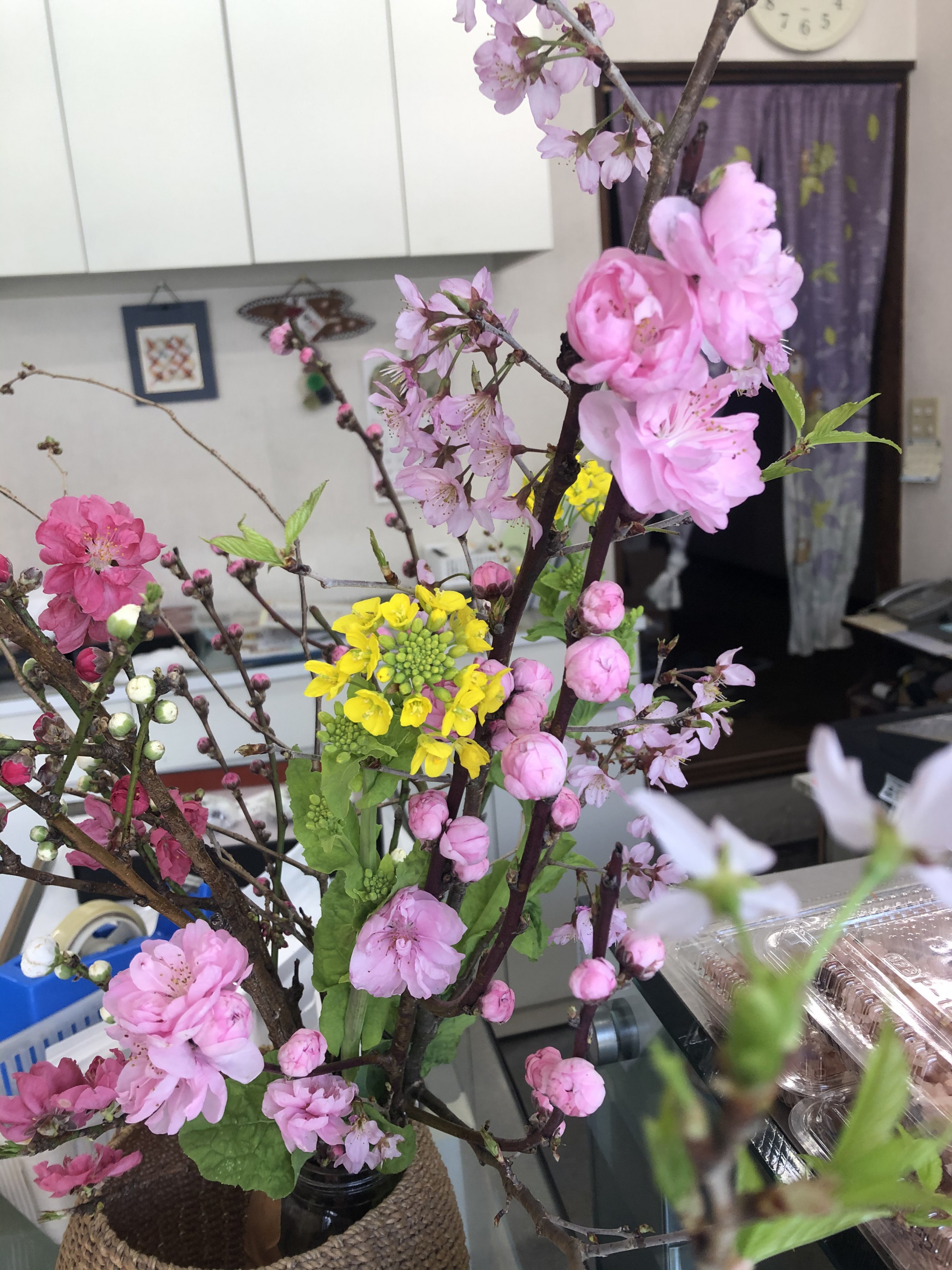 お店の花