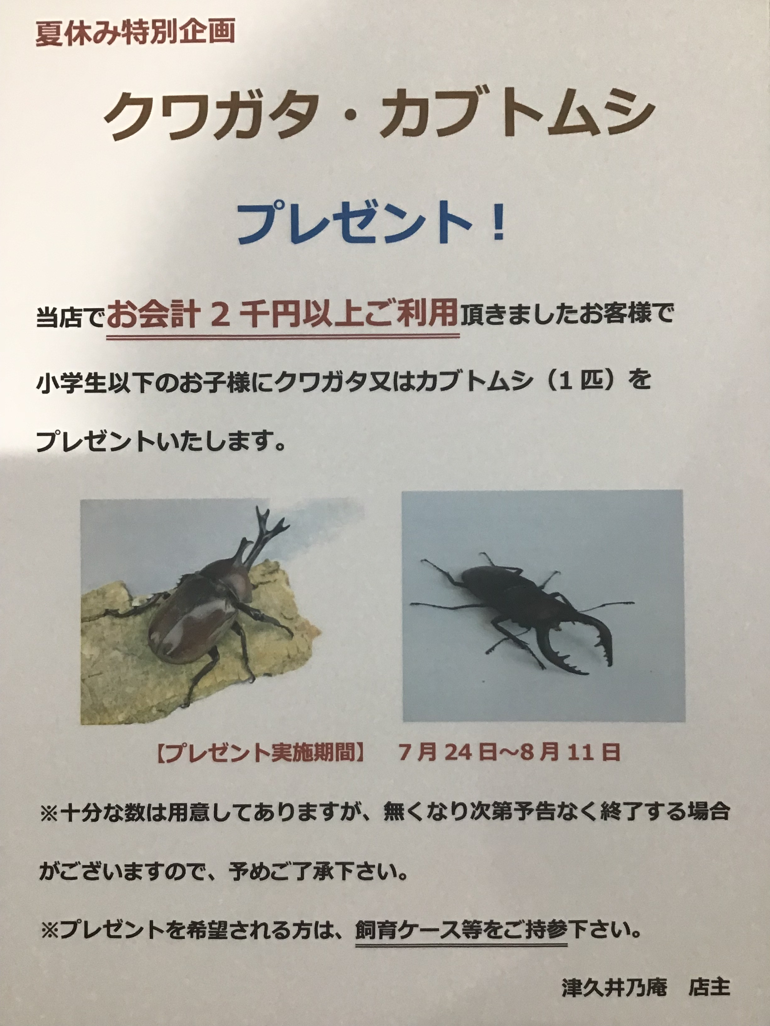 夏休み特別企画　カブトムシ、クワガタプレゼント実施決定！