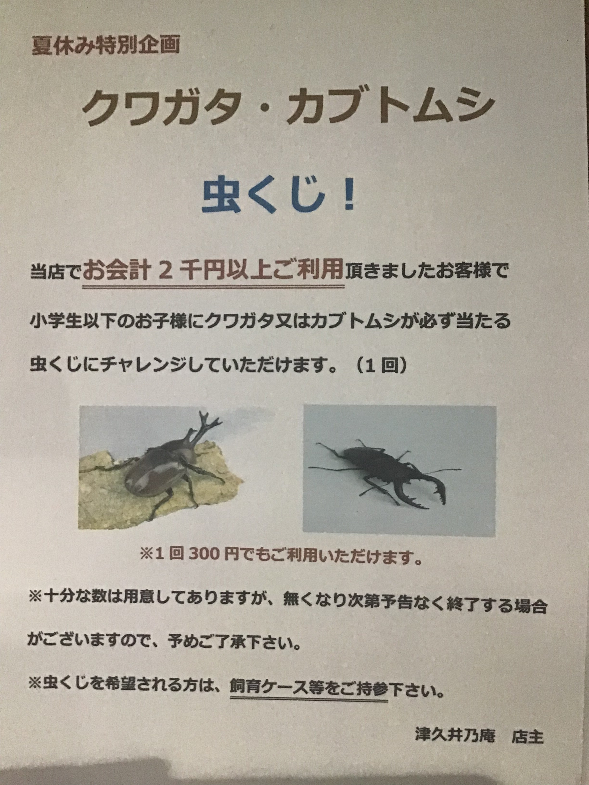 夏休み特別企画！　カブトムシ&クワガタ　虫くじ