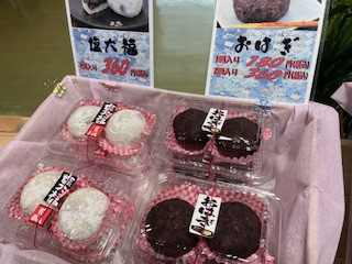 image8.jpeg