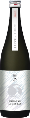未来に輝く”LODE STAR”