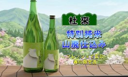 杜来 春の限定酒