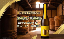 umami RE.png