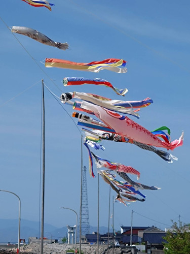 1777127807485.jpg