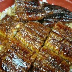 IMG_03042019_185325_(500_x_500_ピクセル).jpg