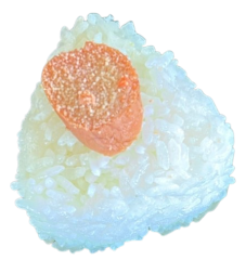 A7_tarako.png