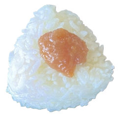 A9_ume.png