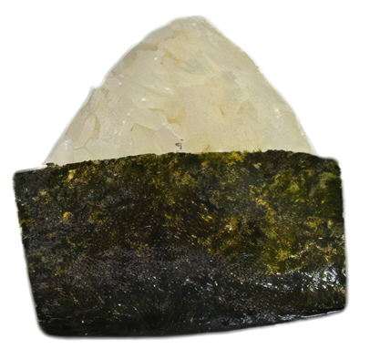 A17_shio.png