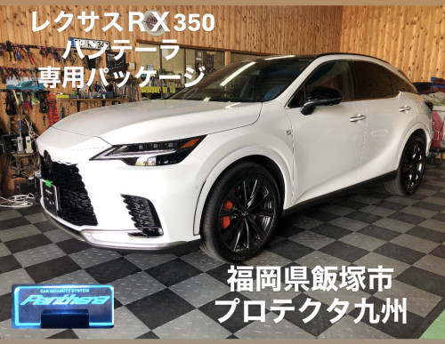 B179B025-B0F2-420F-8509-140A2DAA793F.jpeg