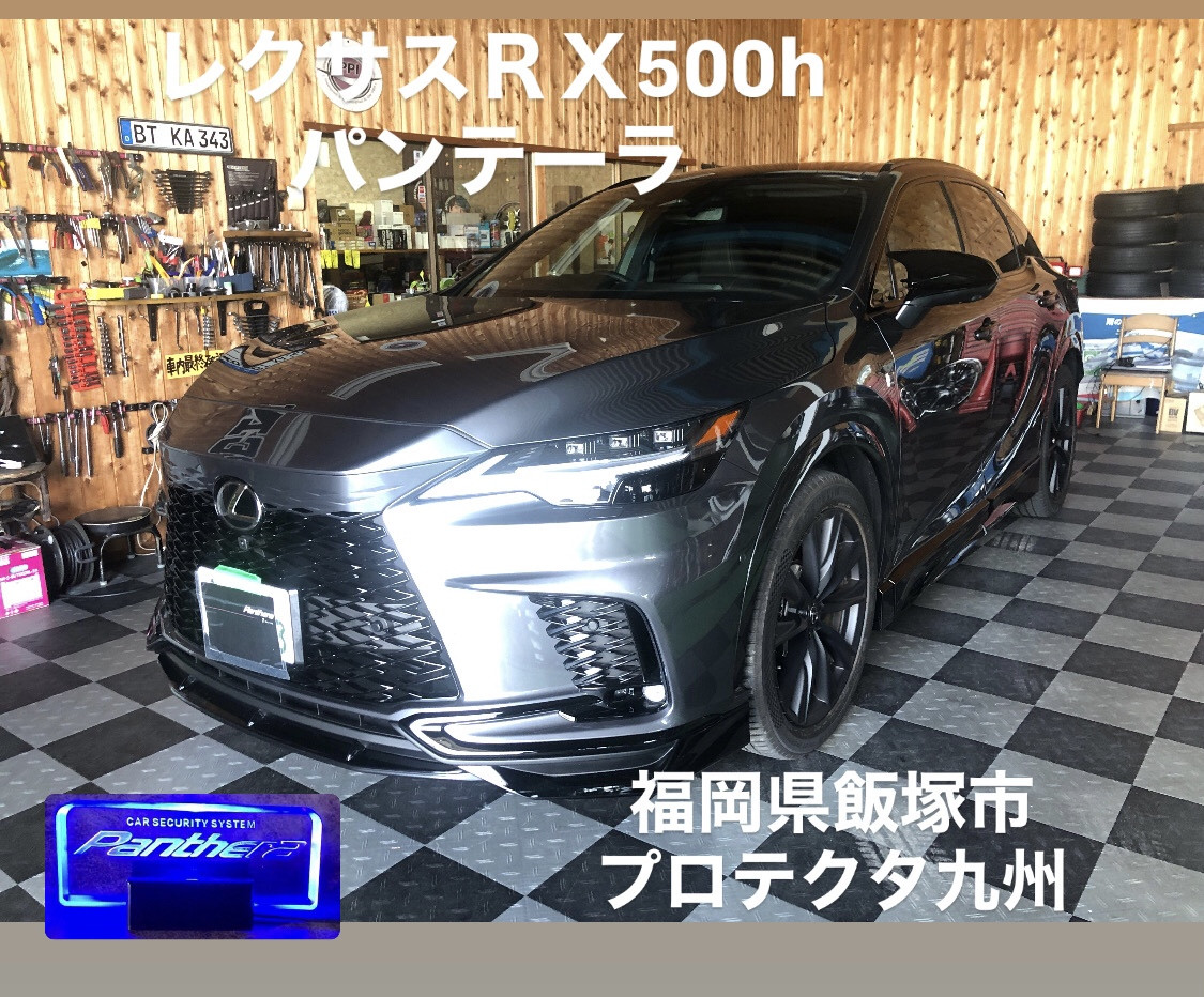 53E7EB5D-37C3-43C0-A707-A7A333CC7343.jpeg