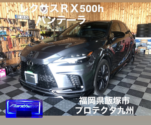 53E7EB5D-37C3-43C0-A707-A7A333CC7343.jpeg