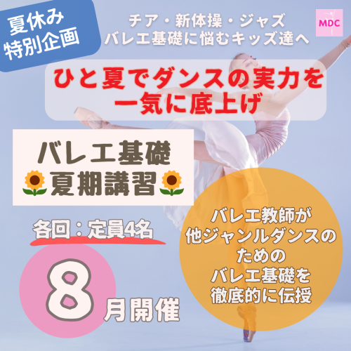 夏期講習 (1).png